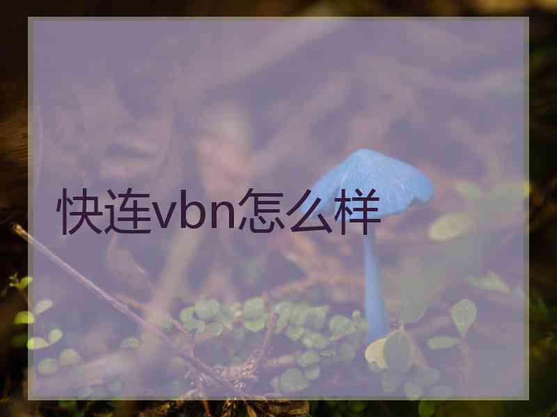 快连vbn怎么样