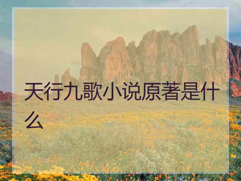 天行九歌小说原著是什么