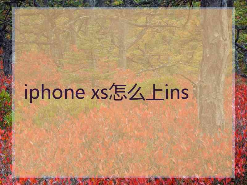iphone xs怎么上ins