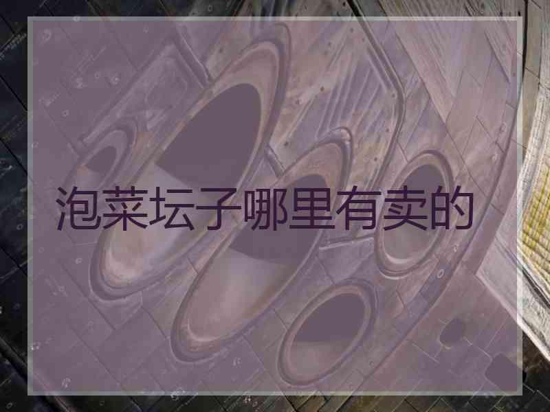 泡菜坛子哪里有卖的