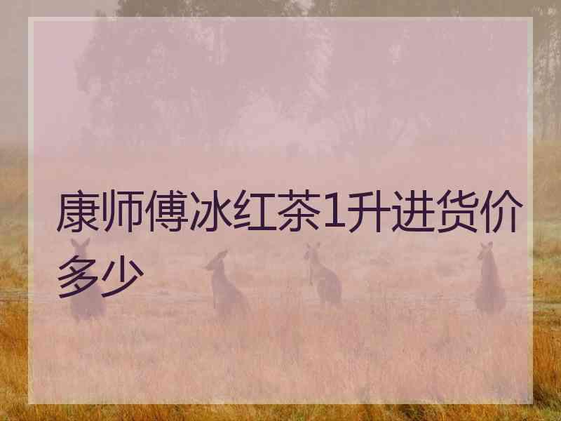 康师傅冰红茶1升进货价多少