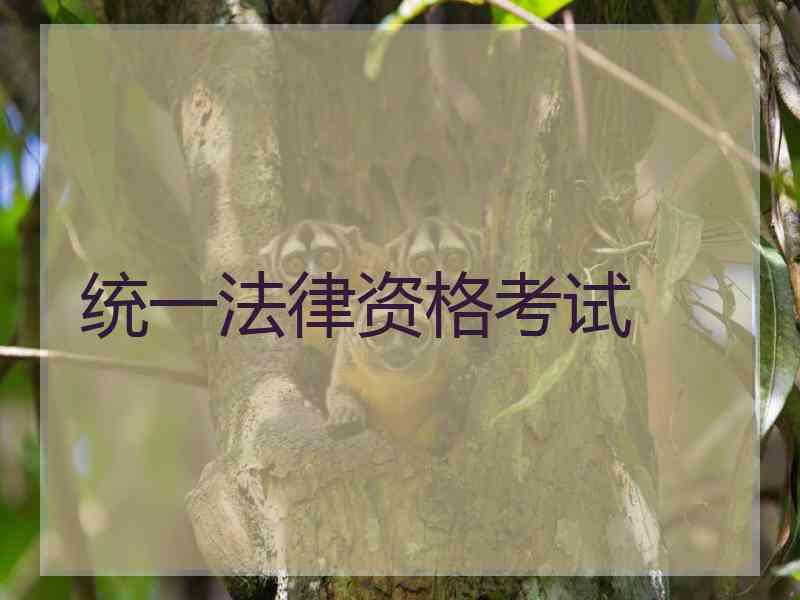 统一法律资格考试
