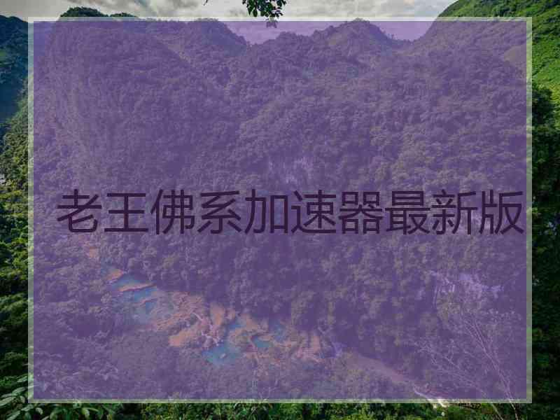 老王佛系加速器最新版