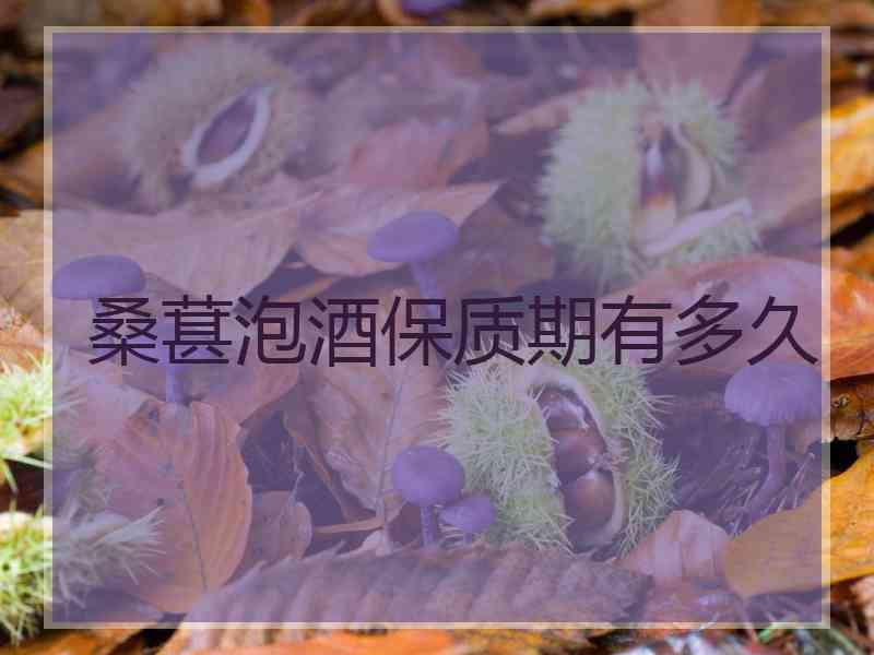 桑葚泡酒保质期有多久