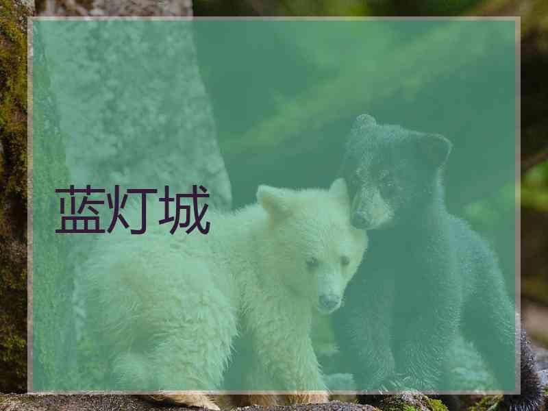 蓝灯城