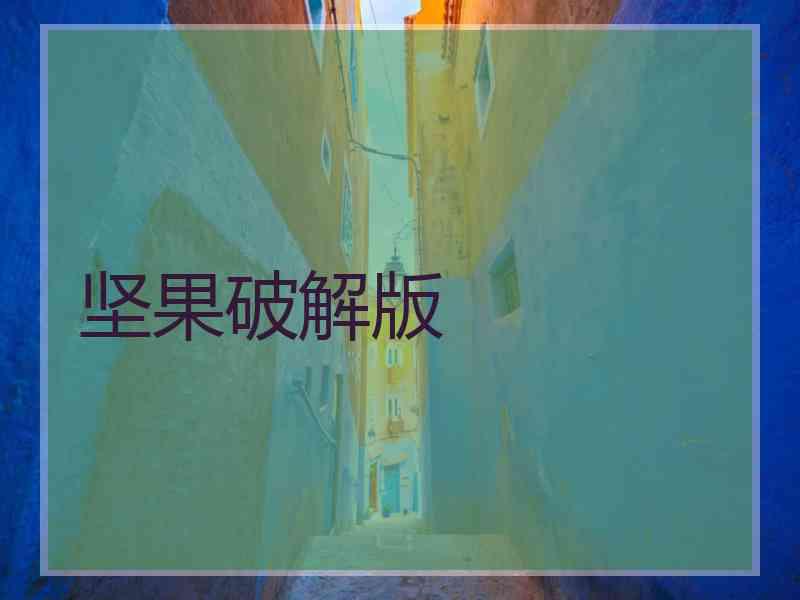 坚果破解版