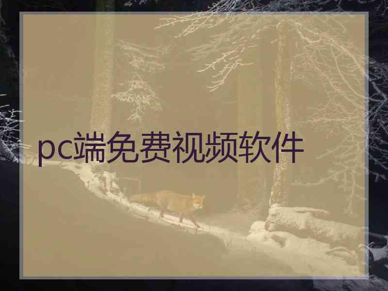 pc端免费视频软件