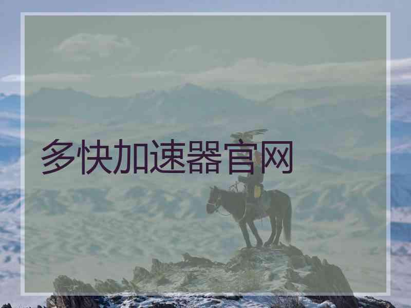 多快加速器官网