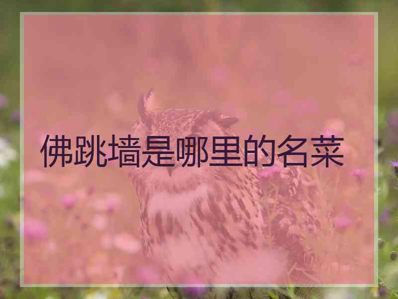 佛跳墙是哪里的名菜