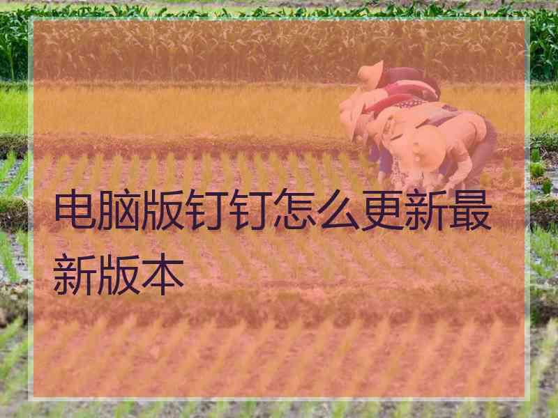 电脑版钉钉怎么更新最新版本