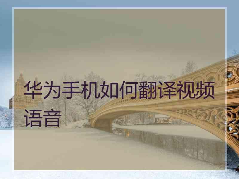 华为手机如何翻译视频语音
