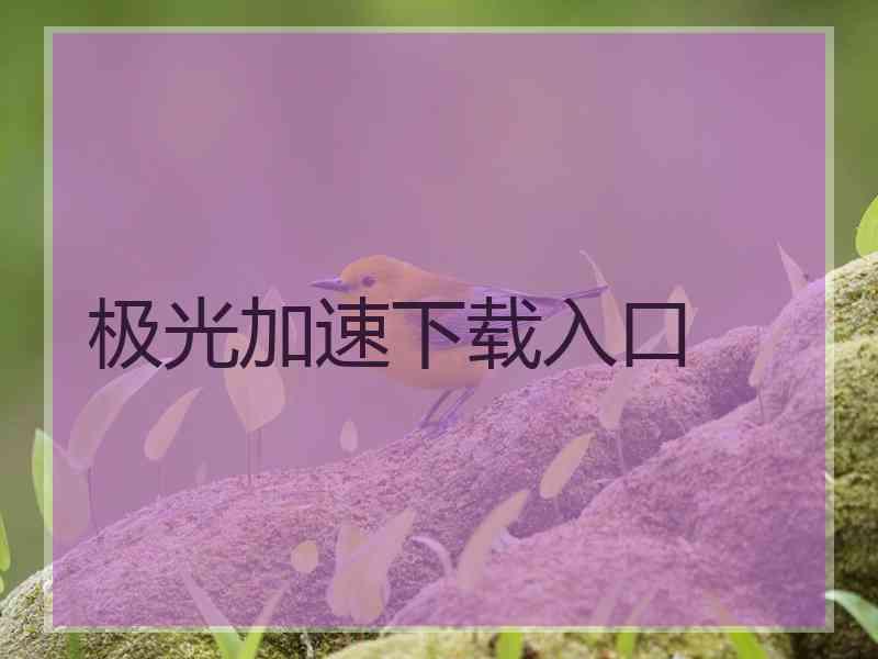 极光加速下载入口