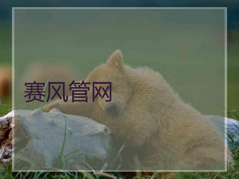 赛风管网