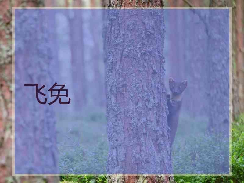 飞免
