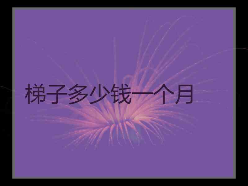 梯子多少钱一个月
