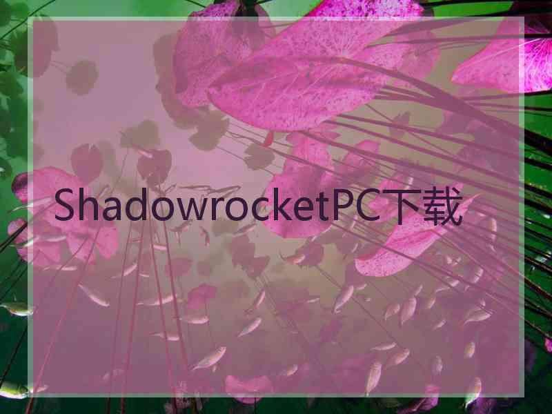 ShadowrocketPC下载