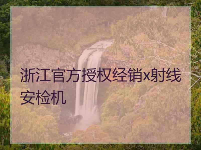 浙江官方授权经销x射线安检机