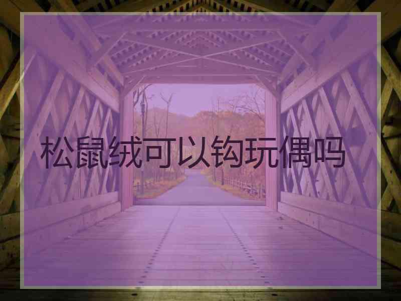 松鼠绒可以钩玩偶吗