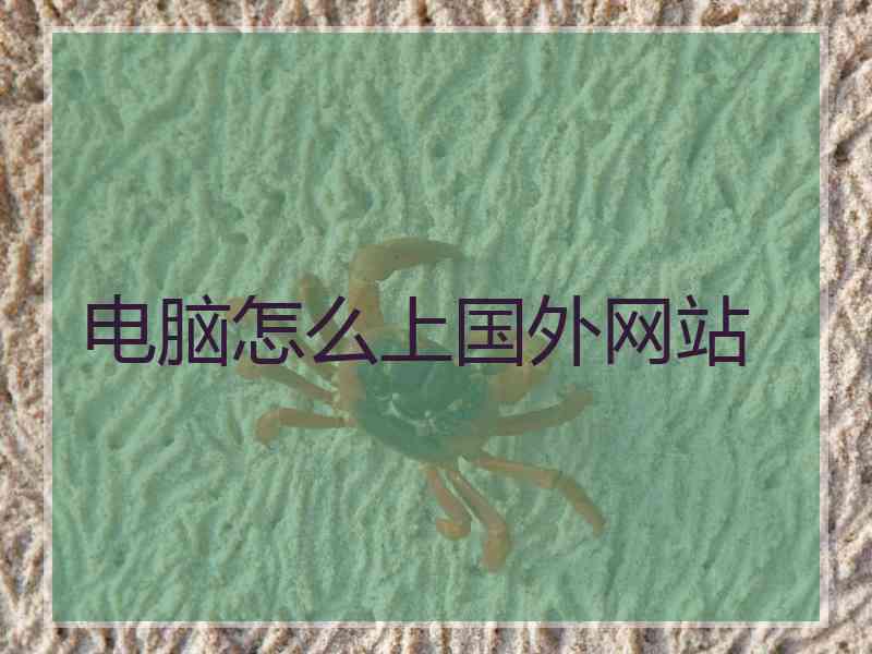 电脑怎么上国外网站