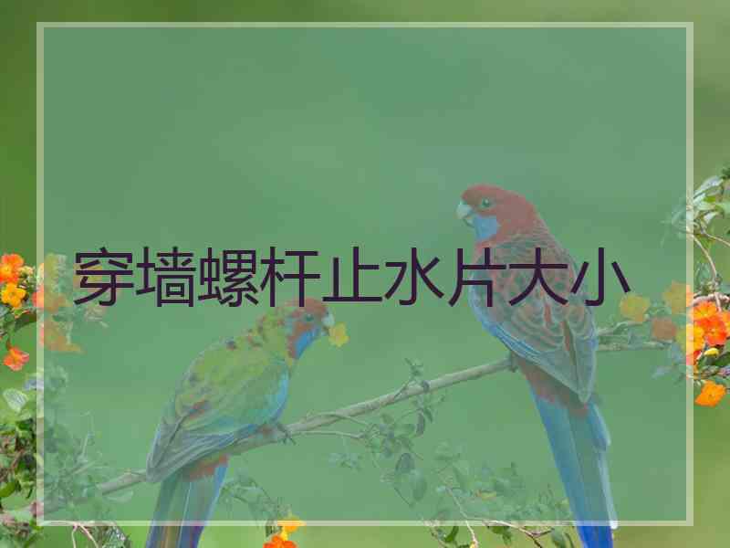 穿墙螺杆止水片大小