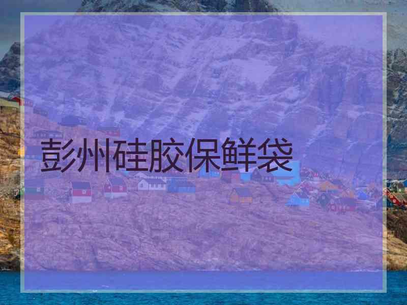 彭州硅胶保鲜袋