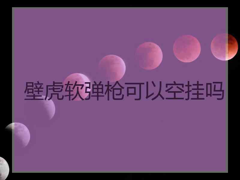 壁虎软弹枪可以空挂吗