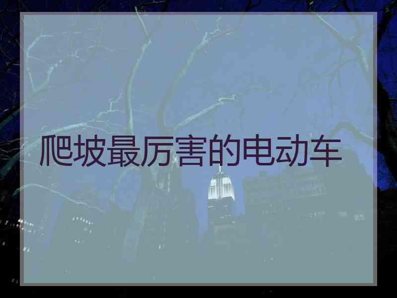 爬坡最厉害的电动车