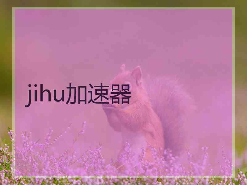 jihu加速器