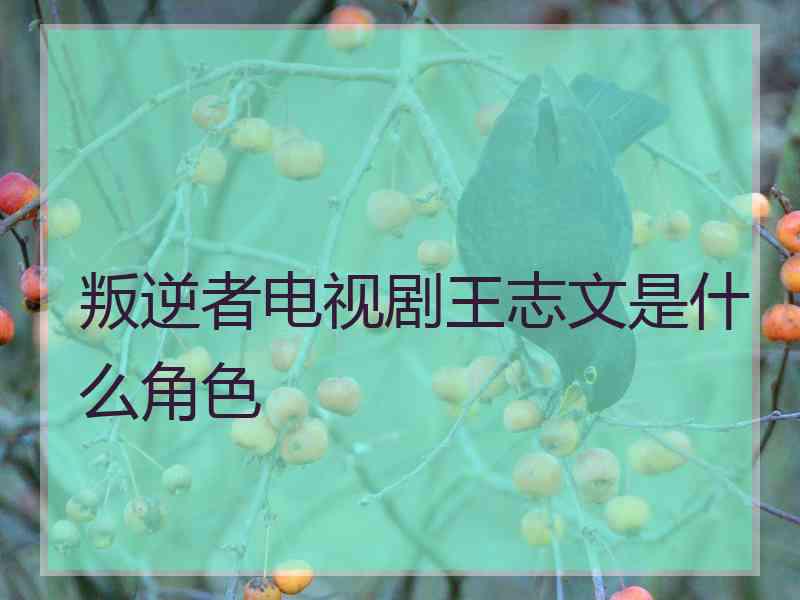 叛逆者电视剧王志文是什么角色