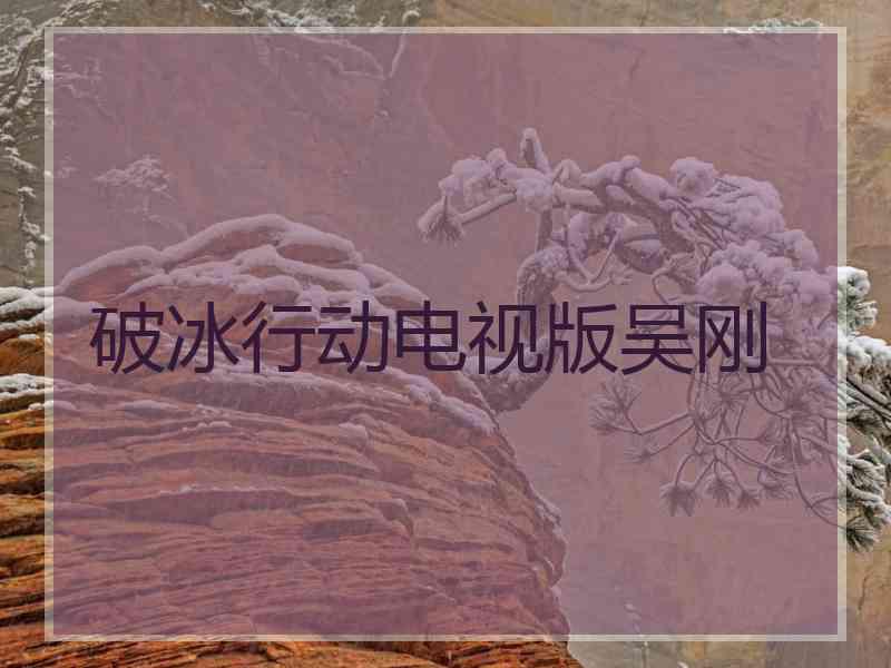 破冰行动电视版吴刚