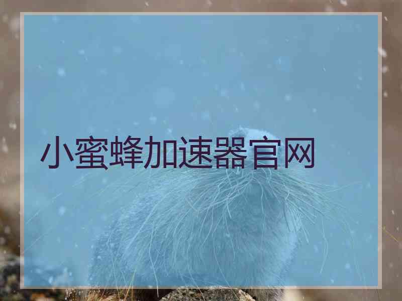 小蜜蜂加速器官网