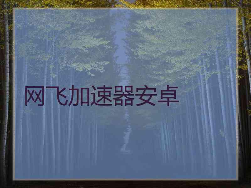 网飞加速器安卓