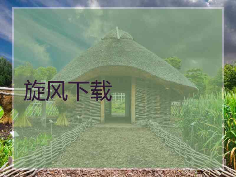 旋风下载