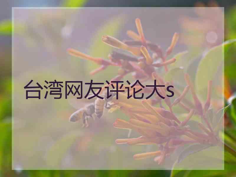 台湾网友评论大s