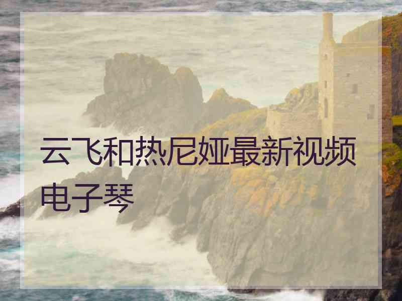 云飞和热尼娅最新视频电子琴