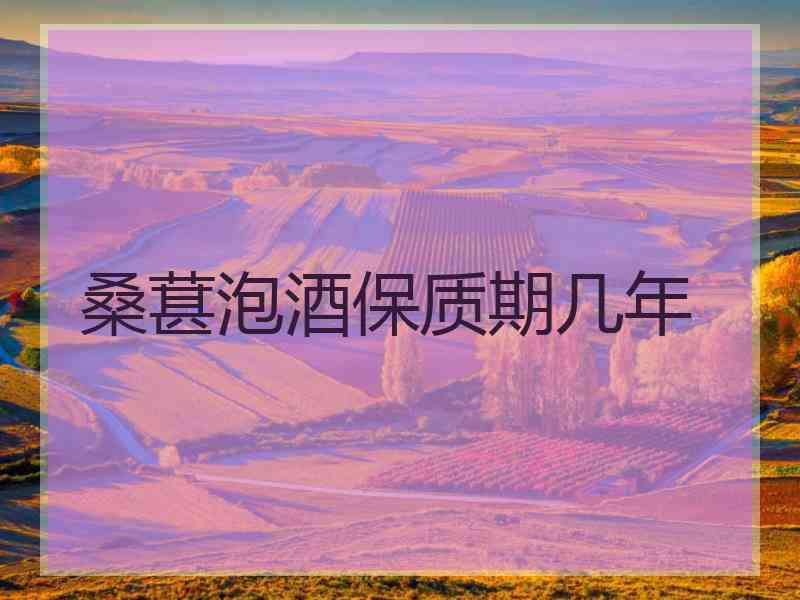 桑葚泡酒保质期几年