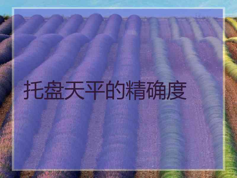 托盘天平的精确度