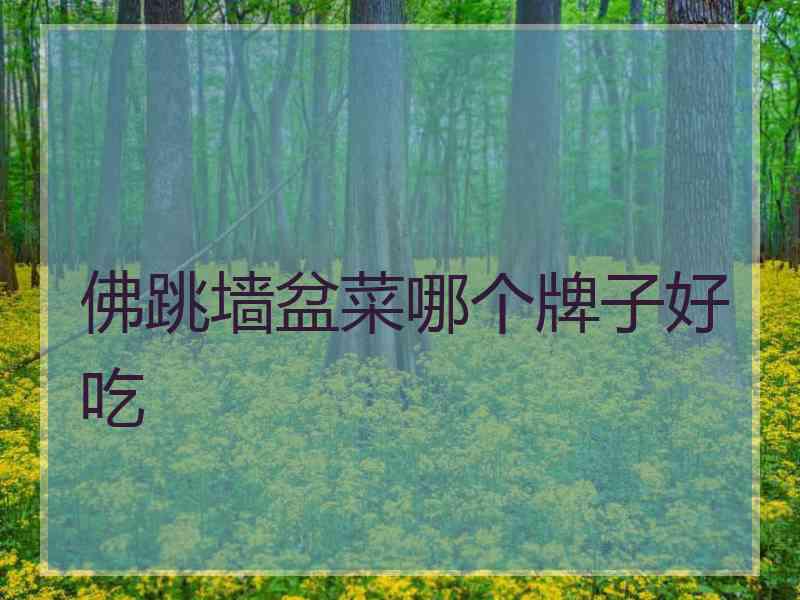 佛跳墙盆菜哪个牌子好吃