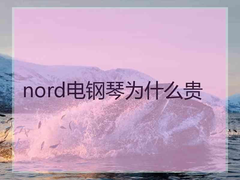 nord电钢琴为什么贵