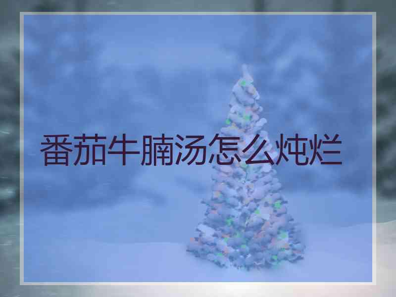 番茄牛腩汤怎么炖烂
