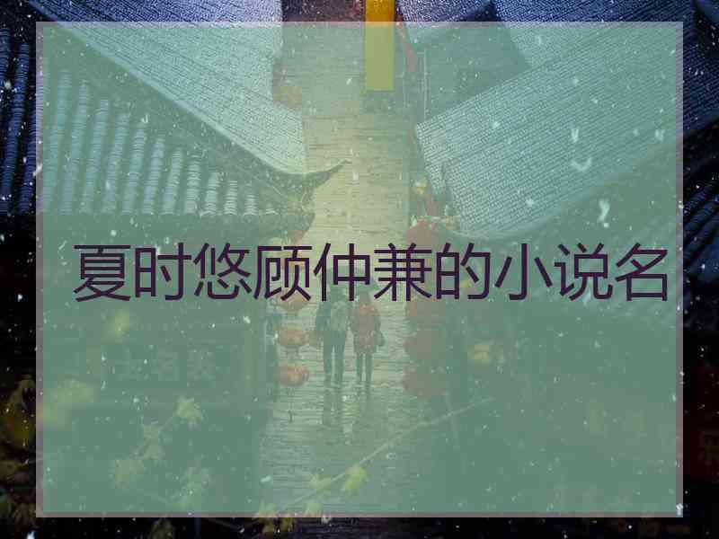 夏时悠顾仲兼的小说名