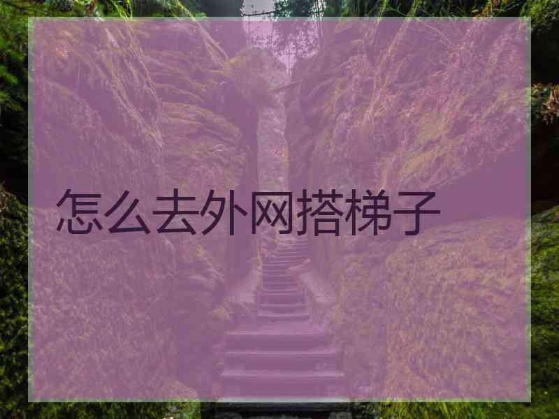 怎么去外网搭梯子