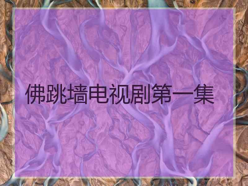 佛跳墙电视剧第一集