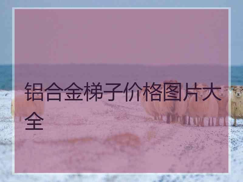 铝合金梯子价格图片大全