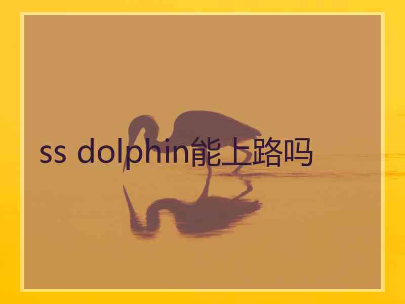ss dolphin能上路吗