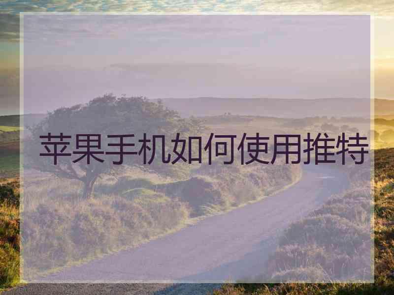 苹果手机如何使用推特