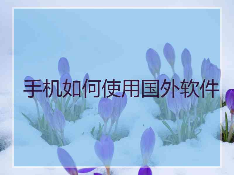 手机如何使用国外软件