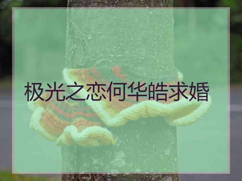 极光之恋何华皓求婚