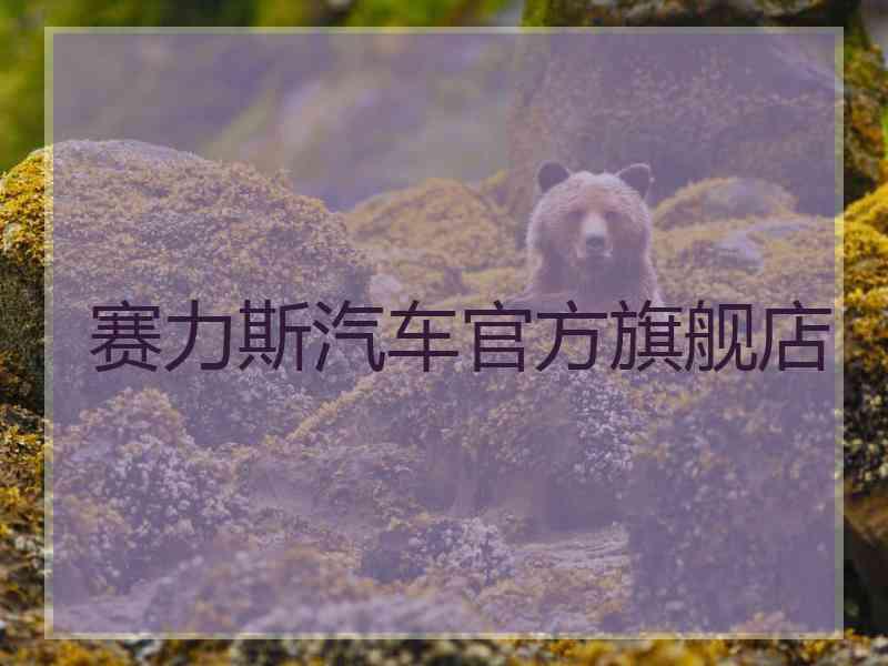 赛力斯汽车官方旗舰店