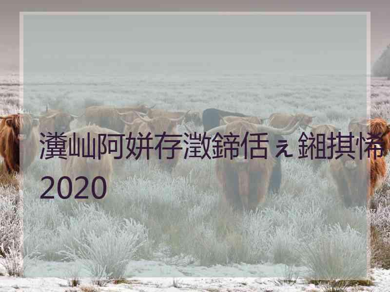 瀵屾阿姘存澂鍗佸ぇ鎺掑悕2020